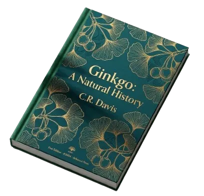 the-rescue-package-header-image